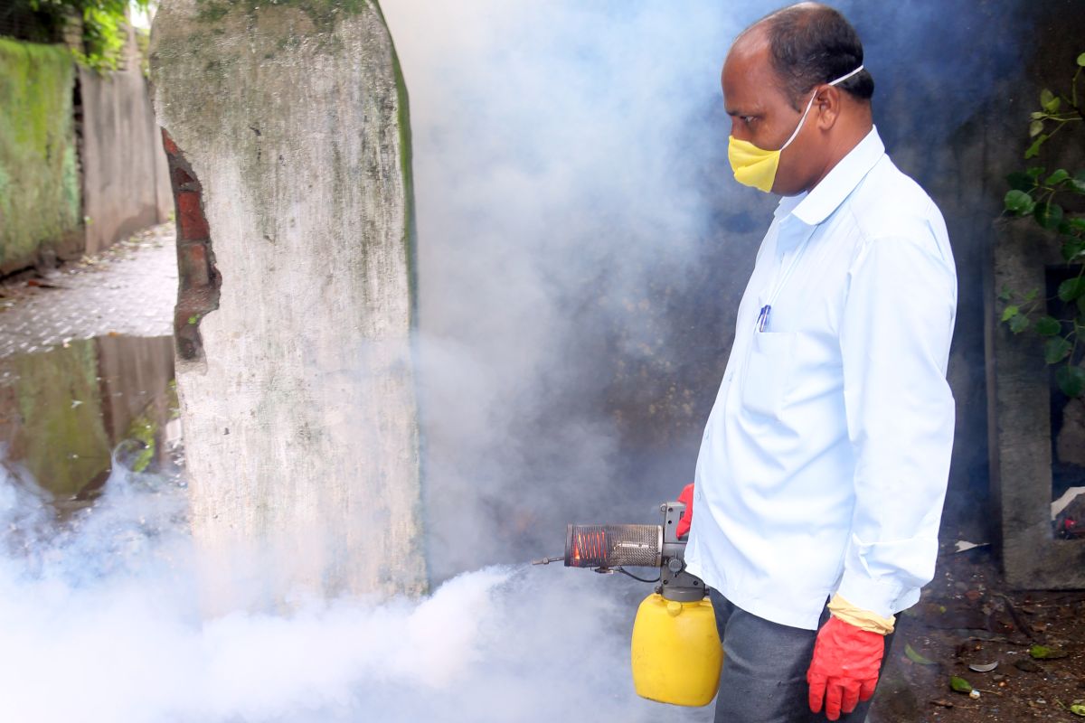 Fogging treatment to kill adult mosquitoes